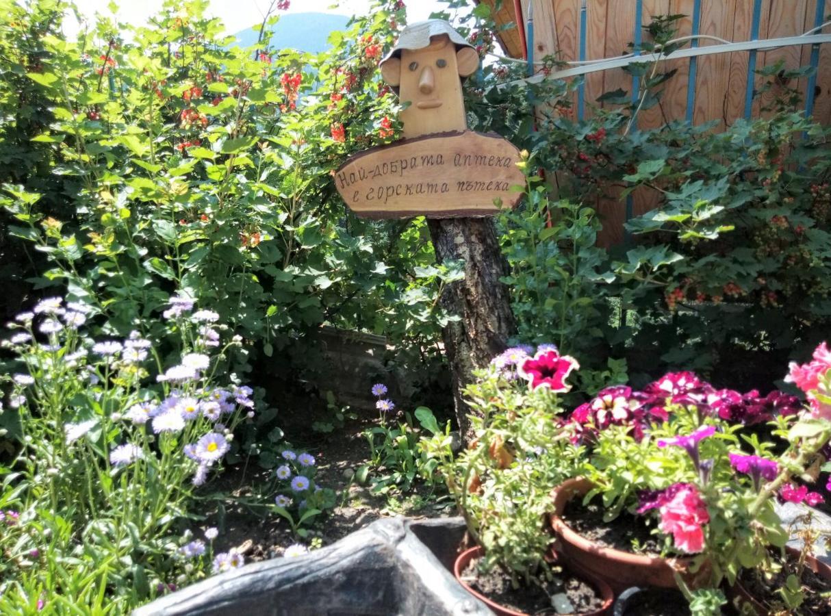 Guest House Milka 亚戈迪纳 外观 照片